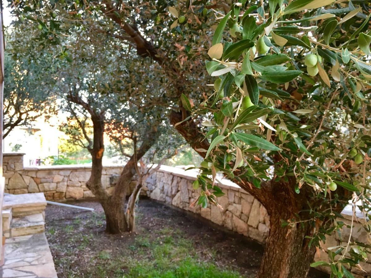 Lavender House Maslenica Exterior foto